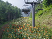 P񂳂̃zCg[hƂ̓eʐ^1