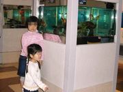 悽񂳂̋ƌ̋L̓eʐ^1