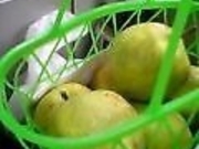 Miles̔_YYكI`F̓eʐ^1