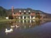 shirobêΏ tĂ؂̓eʐ^1