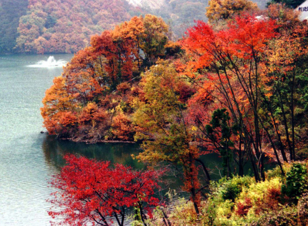 草木湖