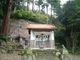 クラさんの岩根神社のミツバツツジ・ヤマツツジの投稿写真1