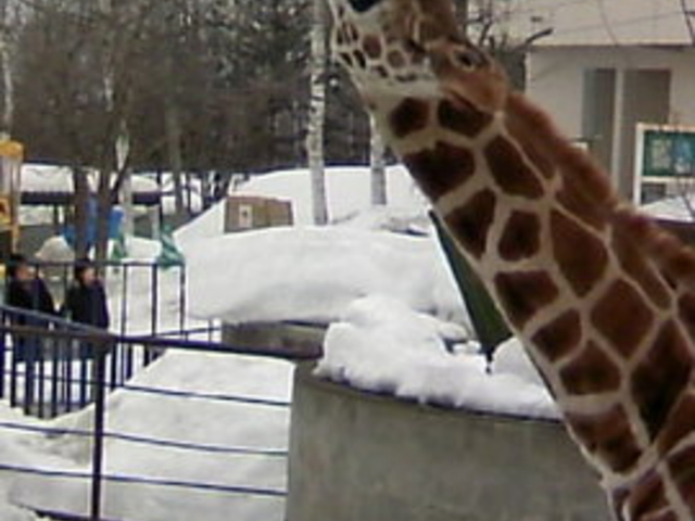 ���R������