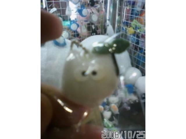 �V���N�n�b�g��胂�A�[�Y