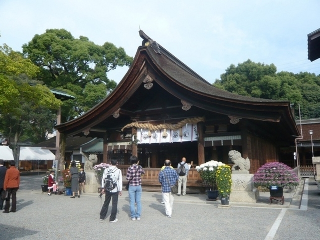 �����嚠��_�Дq�a