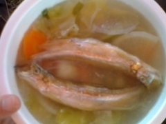 �̂�����̂ނ��풬���Y���������u�ۂۂ񂽎s��v�ւ̓��e�ʐ^1