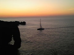 �p�Z������̖����тւ̓��e�ʐ^1