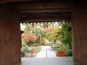 ���T�V����̍L���_�Ёi�啪���|�c�s�j�̓��e�ʐ^1