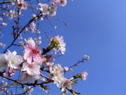 cyupâ܃t[p[N̓eʐ^1