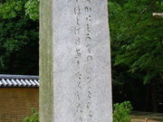 䂫̉Ô̔i厛卶j̓eʐ^1