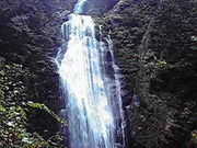 ݂񂮂݂₿搶̉ڂ̑̓eʐ^1