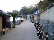 TV̕Ɖ~ʂij̓j̓eʐ^1