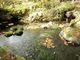 ひっちぃさんの八ケ岳南麓高原湧水群の投稿写真1