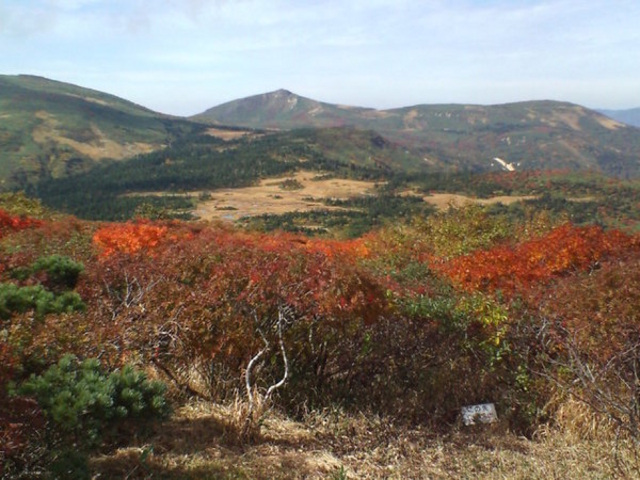 【中古】 日本三百名山烏帽子岳（乳頭山）・東北の尾瀬千沼ケ原・花の名山三ツ石山の花/熊谷印刷出版部/工藤宏 中古】 日本三百名山烏帽子岳(乳頭山)・東北の尾瀬千沼ヶ原・花