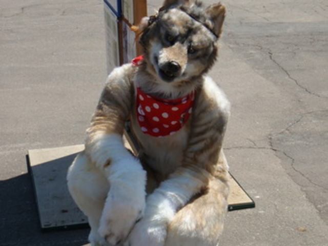 ���тЂ듮����