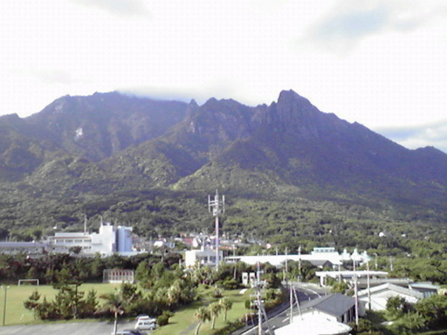 ݂񂮂݂₿搶̖{xx̓eʐ^1