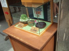 ���񂱂���̐ԕ��{�X�ւ̓��e�ʐ^1