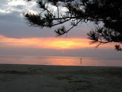 駒ちゃんさんの慶野松原海岸の投稿写真1