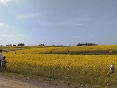 2499̂Ђ܂̋uւ̓eʐ^1