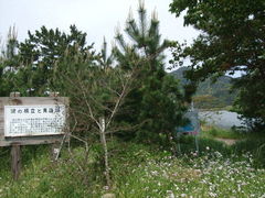 ���ƂЂ낳��̐C�΂ւ̓��e�ʐ^1