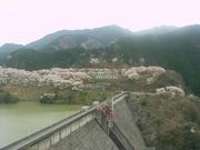 ryuji92jp̌NP_̓eʐ^1