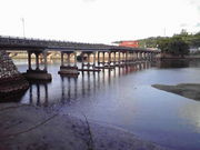 ݂񂮂݂₿搶̉v~_Ђ̓eʐ^1