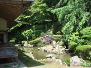 ƂЂ낳̈M뉀̓eʐ^1