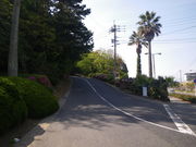 �f�t�m�a�n������̋��������̓��e�ʐ^1