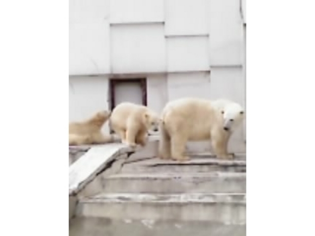 �~�R������