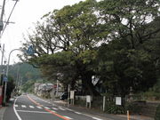 ���悵����̓��C�̃A�R�E�̓��e�ʐ^1