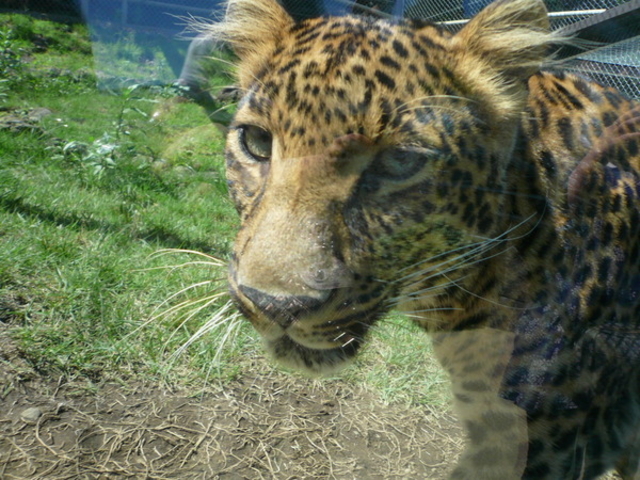 �x�m�T�t�@���p�[�N