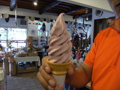 kayo-pet����̕��c�_��ւ̓��e�ʐ^1