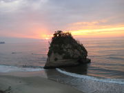 ނ񂳂̈錴C݂̓eʐ^1