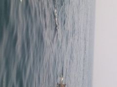 KOCCO̓쓇CJEHb`Oւ̓eʐ^1