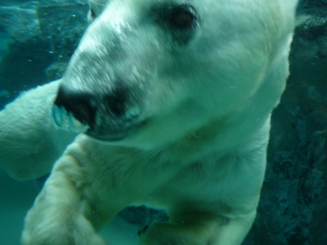 ���R������