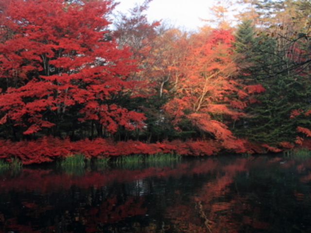 雲場池】アクセス・営業時間・料金情報 - じゃらんnet