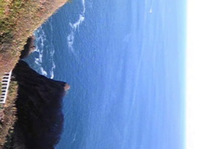 �n�����W�]��