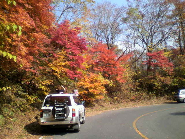 �������݂����C��