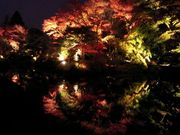 Ђ݂̓R ։ 疗y̓eʐ^1