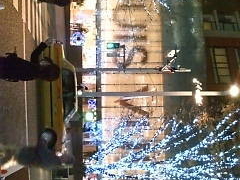 񂶂񂳂̘Z{؃qYւ̓eʐ^1