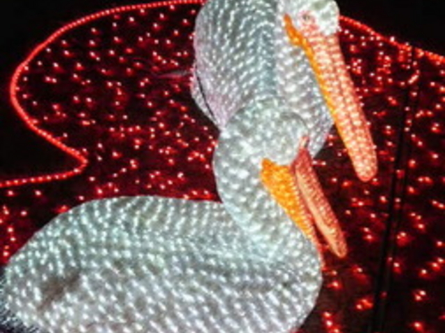 �����h�C�c��