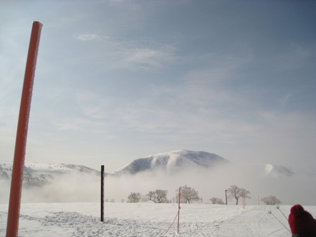 �L�����X�m�[���[���h