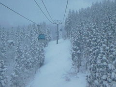 まぁさんの森吉山　阿仁スキー場の投稿写真1