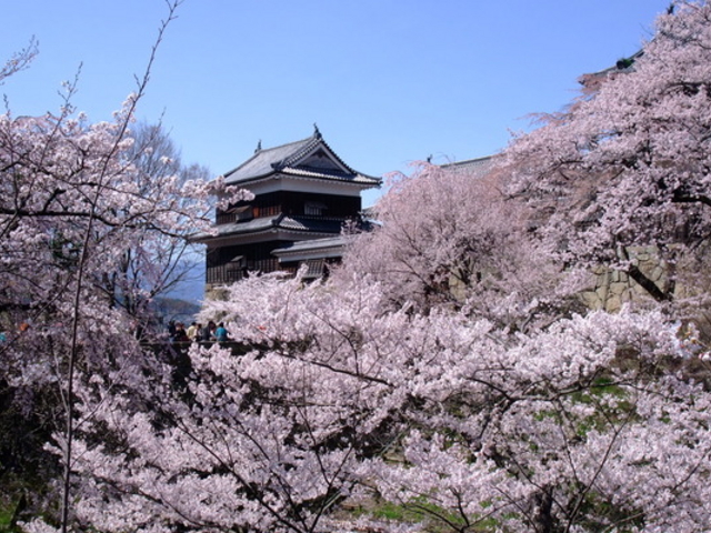 ��c��Ռ���