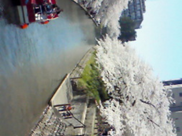 ����V���D