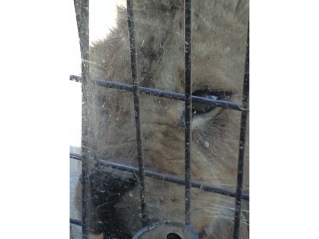 �H�g�䎩�R���������T�t�@�������h