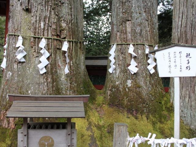 ������r�R�_��