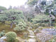 ゆりちゃんさんの旧竹林院庭園への投稿写真2