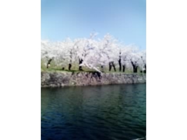 �ܗŊs�����̍�