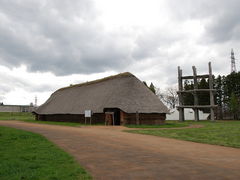 mickey̎OێRՂւ̓eʐ^1